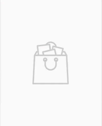 Blox Fruits Roblox mr puggy.webp