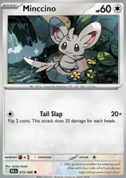 Minccino (BLK 075).jpg