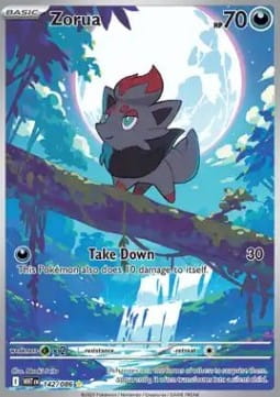 Zorua (WHT 142).jpg
