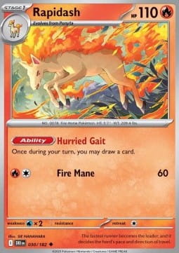Rapidash (DRI 030).jpg