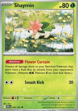 Shaymin (DRI 010).jpg