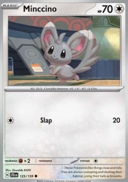 Minccino (JTG 125).jpg