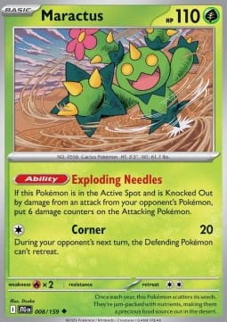 Maractus (JTG 008).jpg