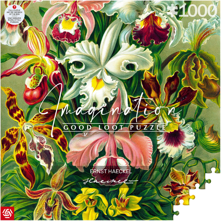 Orchid.png