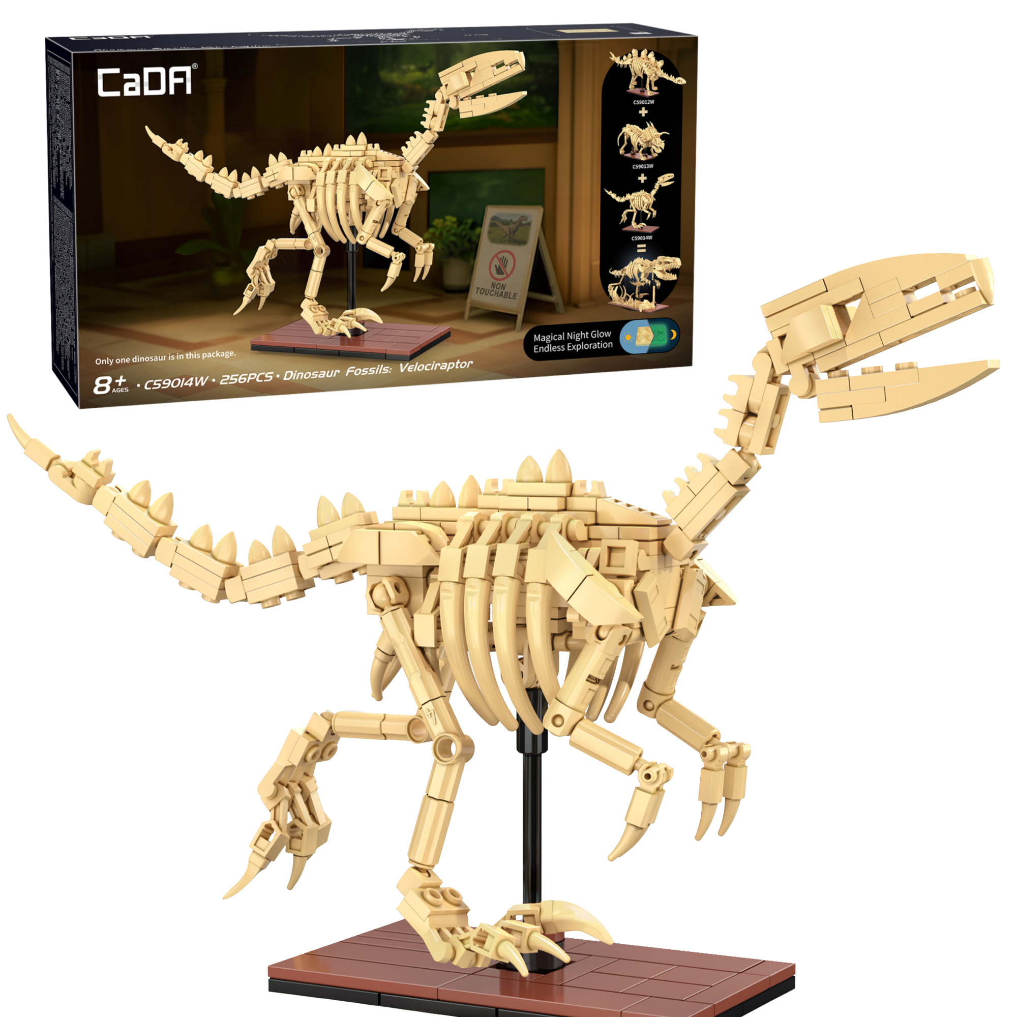 pol_pl_Klocki-konstrukcyjne-CaDA-zestaw-szkielet-dinozaura-Dinosaur-Fossils-Velociraptor-256-elementow-39009_7.jpg